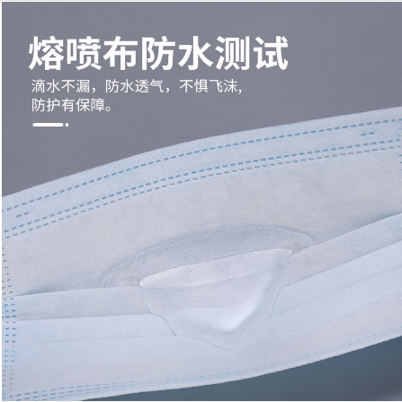 成人口罩医用 医用口罩 独立包装无菌灭菌三层透气 9.9元买一包送一包 10个/包